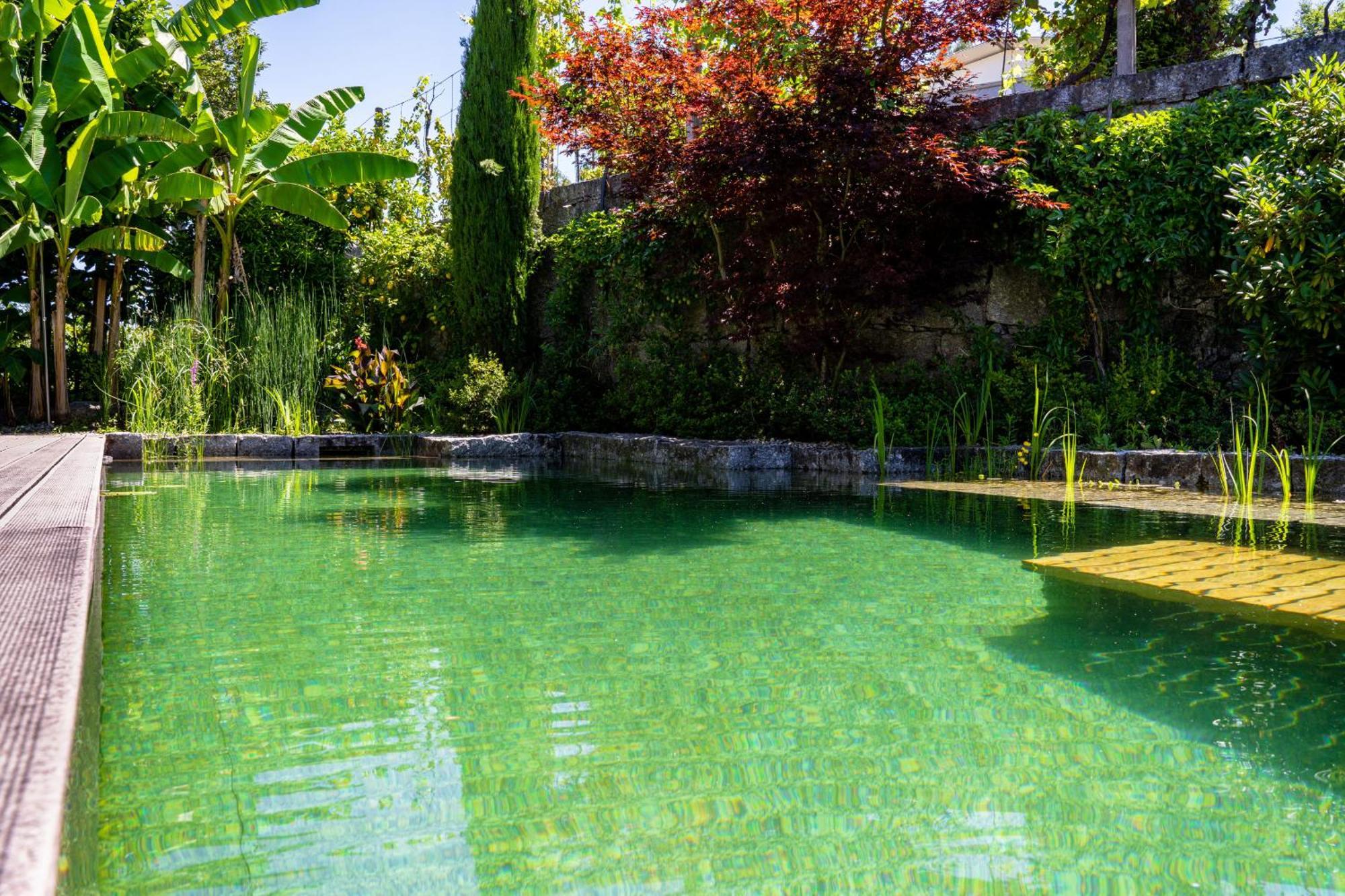 Gondomar Guimaraes - Moradia V3 Com Piscina Natural By House And People Zewnętrze zdjęcie